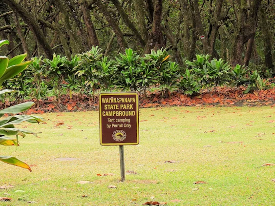 The Road to Hana Image Gallery