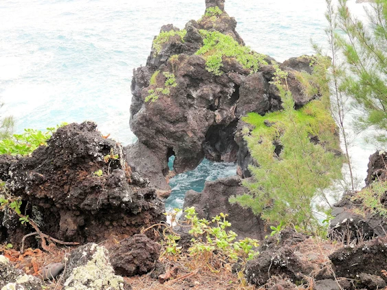 The Road to Hana Image Gallery