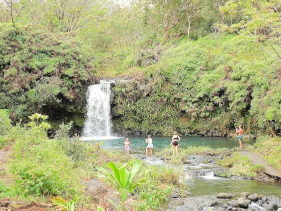 The Road to Hana Image Gallery