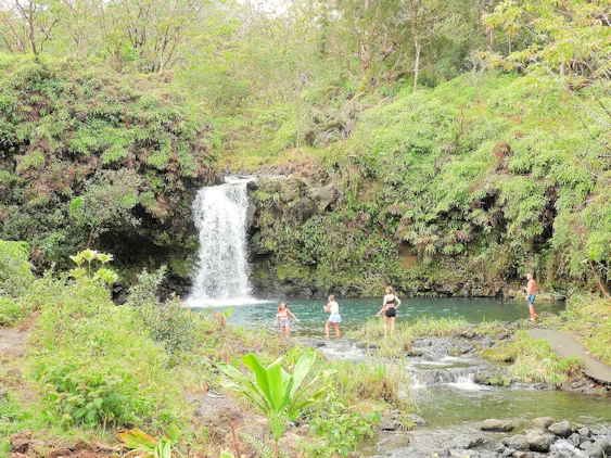 The Road to Hana Image Gallery