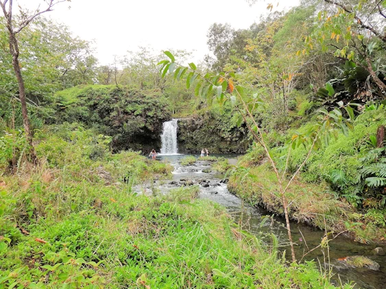 The Road to Hana Image Gallery