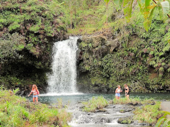 The Road to Hana Image Gallery