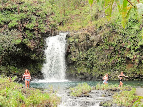 A description and images from a Trip to Maui.
