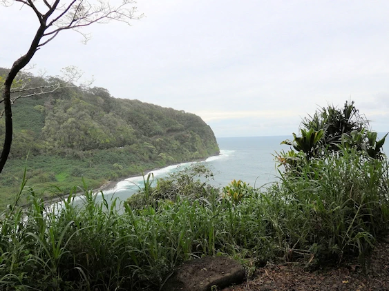The Road to Hana Image Gallery