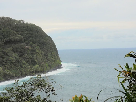 The Road to Hana Image Gallery