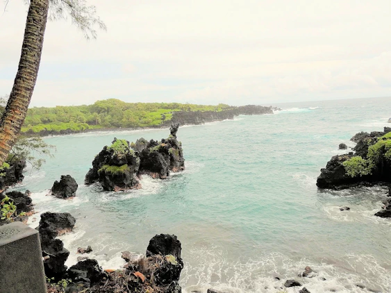 Our island-by-island list of the top sites we recommend visiting in Hawaii. We will provide you with additional info to help you with your own research
