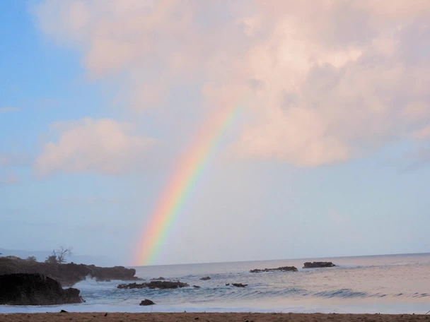 A description and images from a Trip to Oahu.