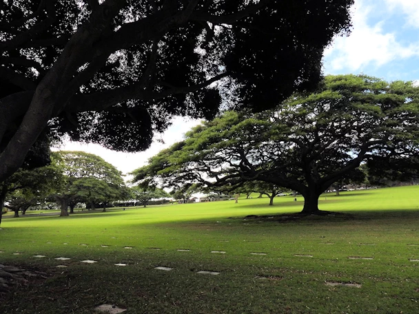 Punchbowl Cemetery