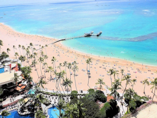 Waikiki from our Hilton Resort Room