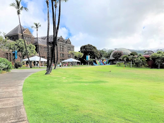 Our island-by-island list of the top sites we recommend visiting in Hawaii. We will provide you with additional info to help you with your own research