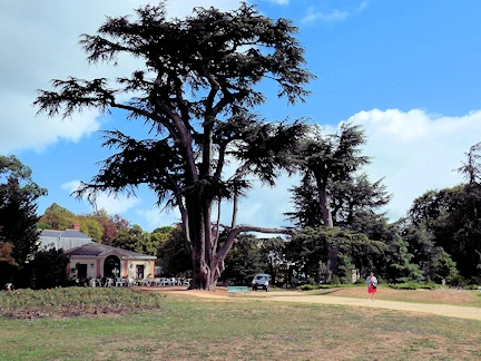 Château de Brissac Grounds