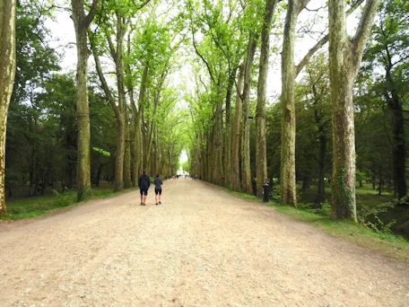 Chenonceau Entrance Walkway