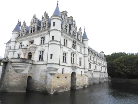 Discover Château de Chenonceau, the 'Ladies' castle uniquely built spanning the Cher River in the Loire Valley.  See photos of Chenonceau, watch our movie, and get the tips and logistical information you need to make your visit a successful one.