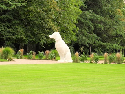 Exploring Château de Cheverny