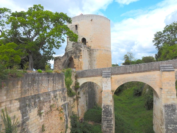 Exploring Château de Chinon