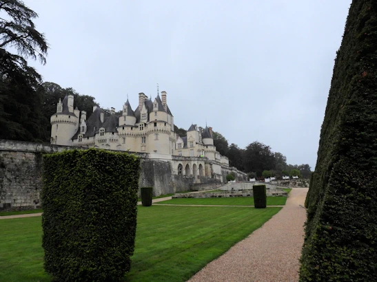 Exploring Château de d'Ussé