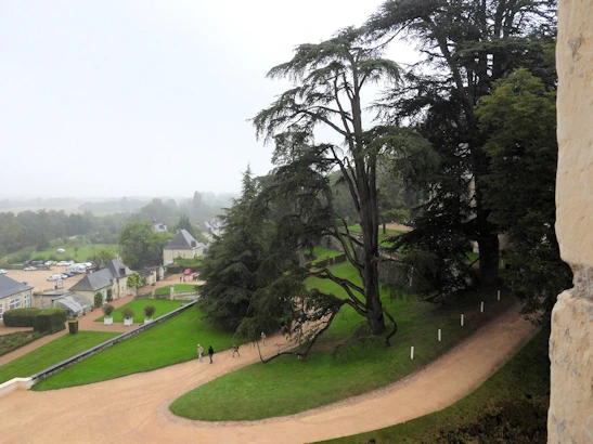 Exploring Château de d'Ussé