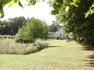 Exploring Chaumont-sur-Loire