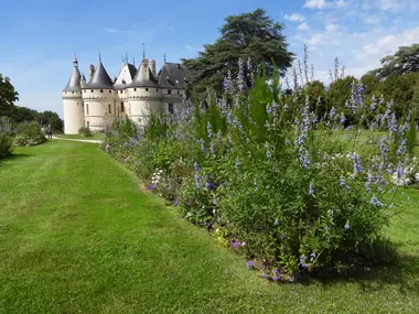 Explore history, art, and stunning gardens! Discover Chaumont-sur-Loire: a captivating castle with a dramatic past, now a vibrant center for the International Garden Festival. Wander innovative gardens, delve into French history, and witness the Loire's beauty. Unforgettable experiences await!