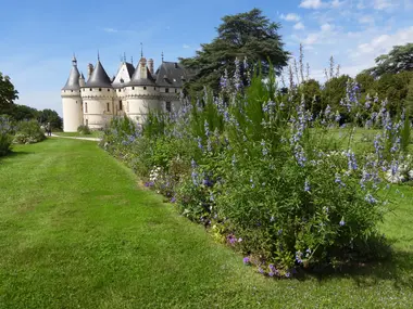 Exploring Chaumont-sur-Loire