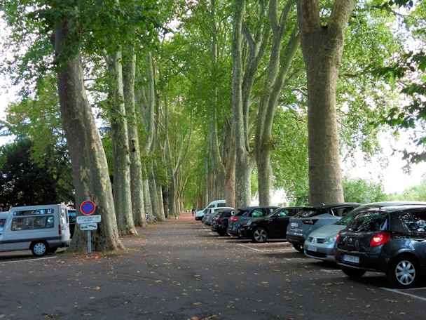 Exploring Chinon