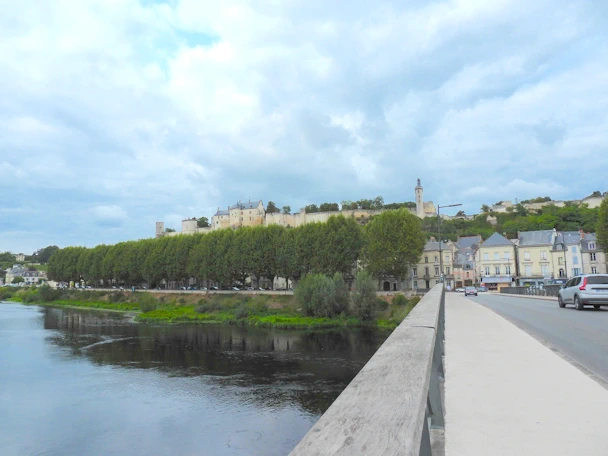Pont routier de Chinon