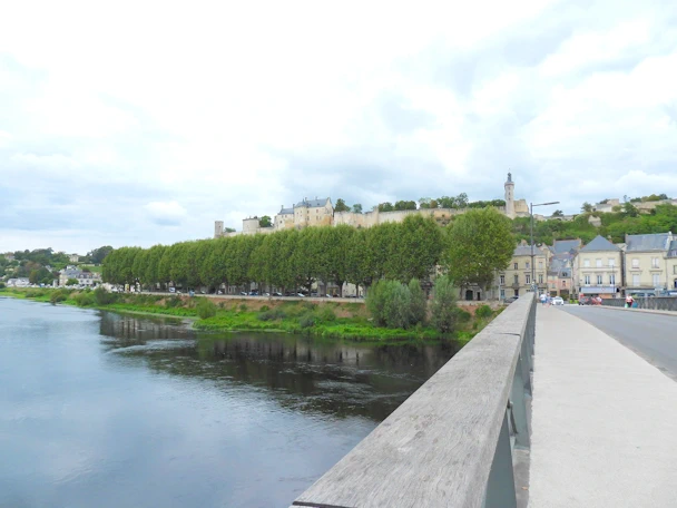 Looking West from the Pont routier de Chinon