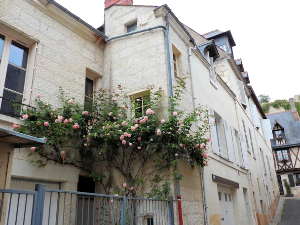 Exploring Chinon