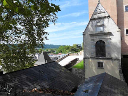 Chateau of Pau