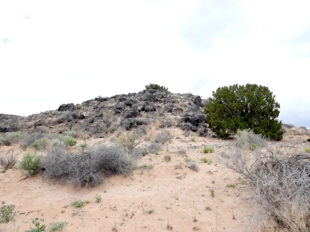 Petroglyph National Monument Image Gallery