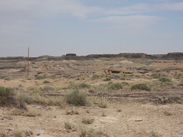 Bisti Badlands: Looking North from Parking Lot