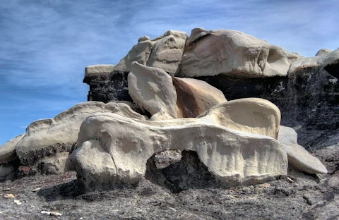 Bisti Badlands: Bisti Bones