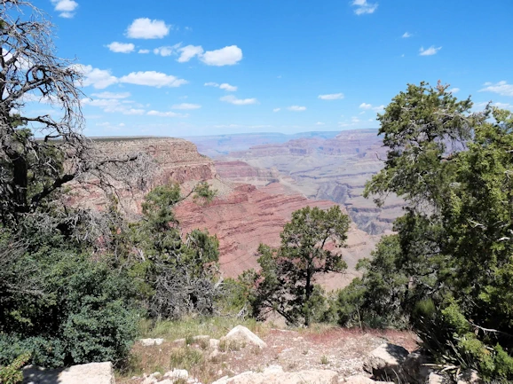 Canyon View from Shop