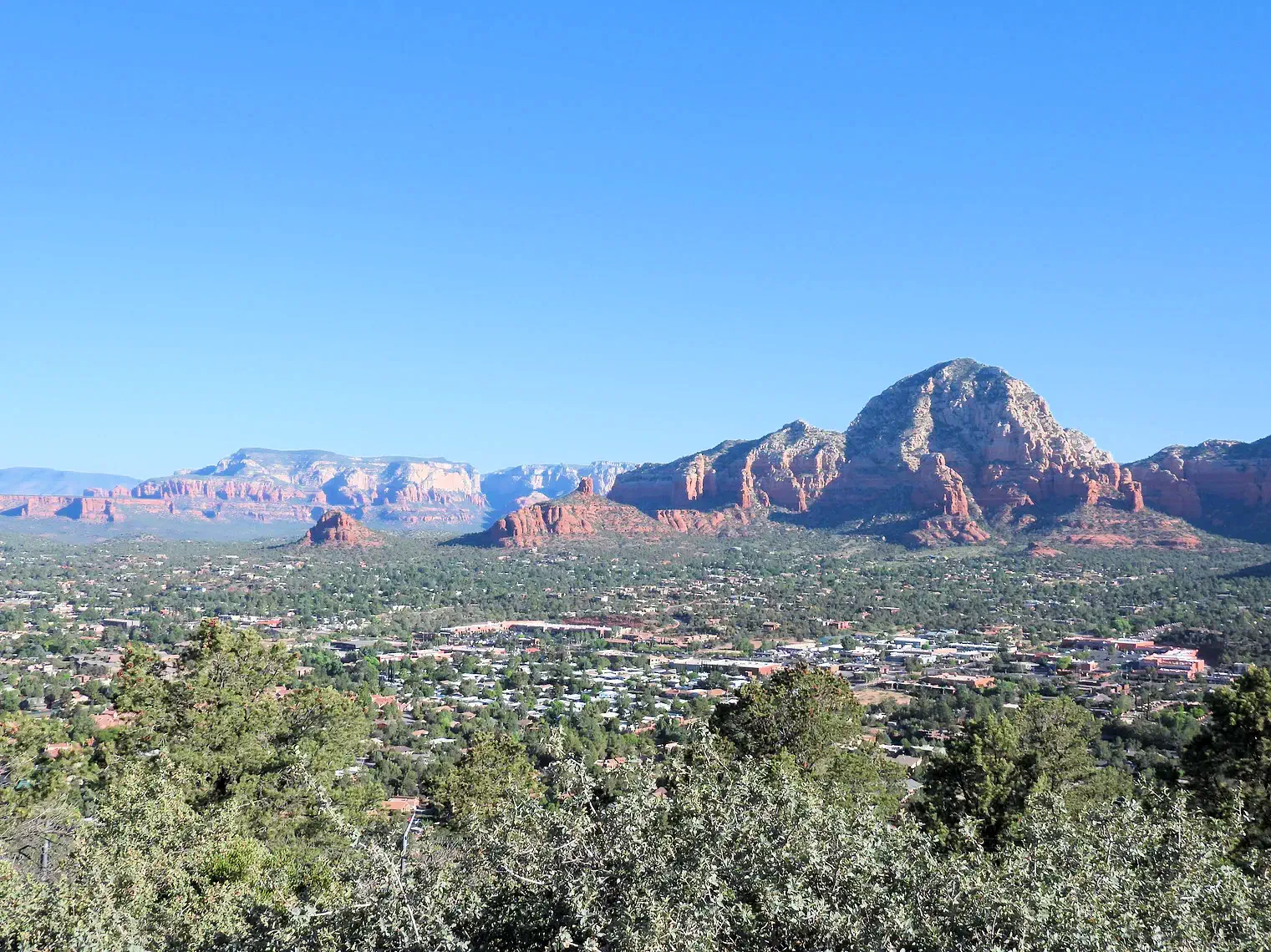 Section Banner Image