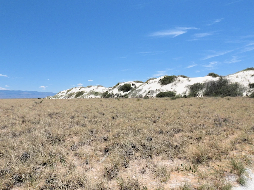Dunes and Desert