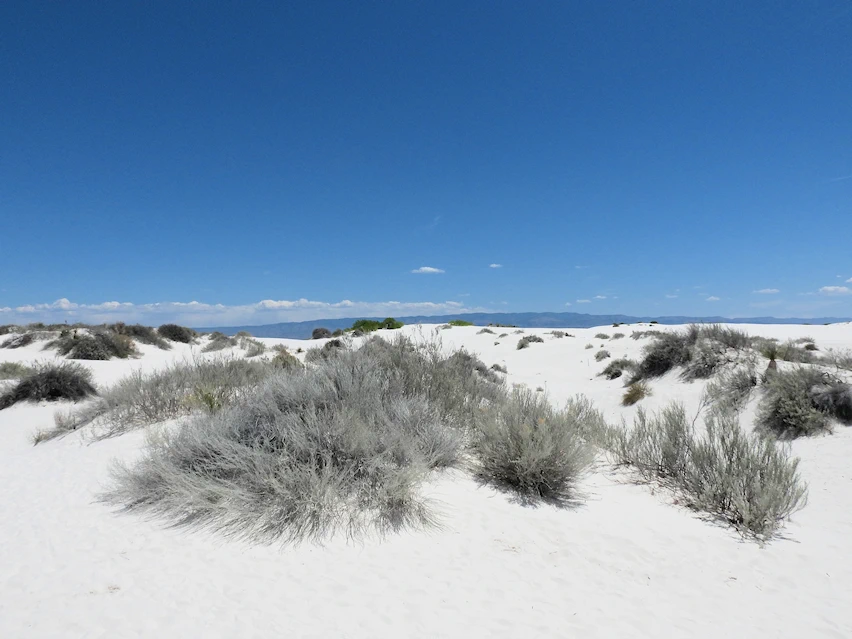 Sun Heating up the White Sand
