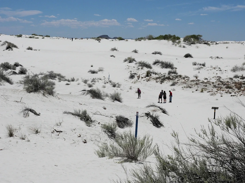 People Hiking in the Dunes