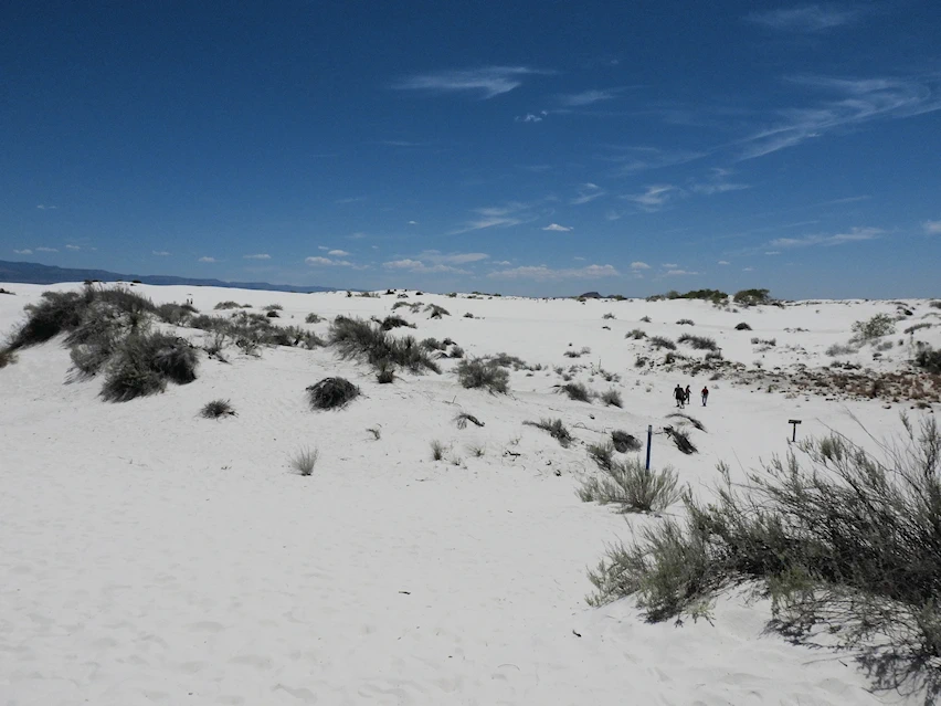 White Sands Everywhere