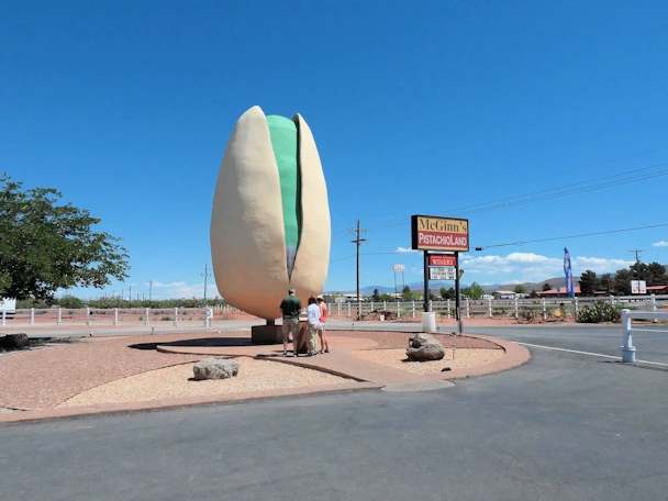 The Largest Pistachio in the World