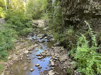 Amazing to think that this little stream carved the Natural Bridge! Yes, the 
                        stream that runs through Natural Bridge, known as Cedar Creek, was the primary force that 
                        carved its opening. The bridge is the remnant roof of a cave or underground tunnel that 
                        Cedar Creek once flowed through.