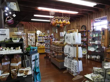 Exploring the Store
