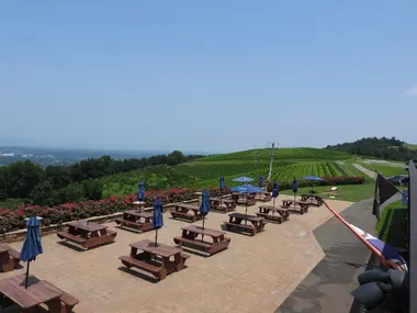 Virginia's Orchard Gem - Pick-Your-Own Apples & Stunning Views at Carter Mountain