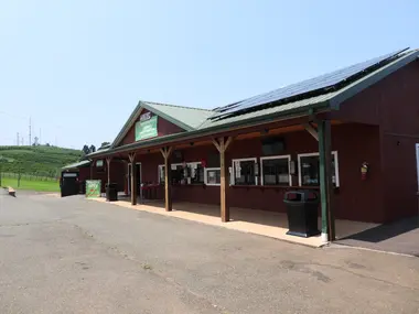 Virginia's Orchard Gem - Pick-Your-Own Apples & Stunning Views at Carter Mountain