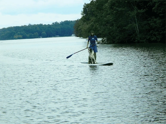 On the Water Scenes