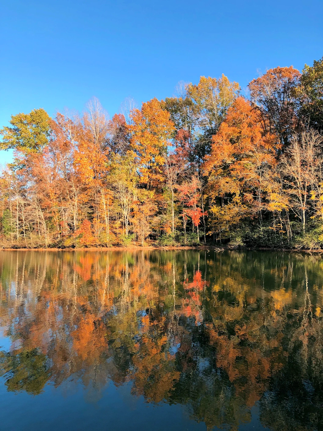 The Cove Inlet