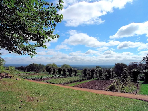 Thomas Jefferson's Architectural Masterpiece & Plantation