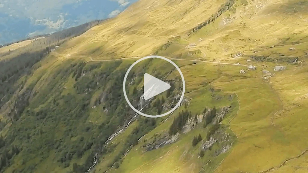 Video from the Observation Platform
